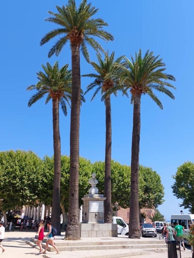 Appartement T4 très bien situé et climatisé LʼÎle-Rousse Extérieur photo